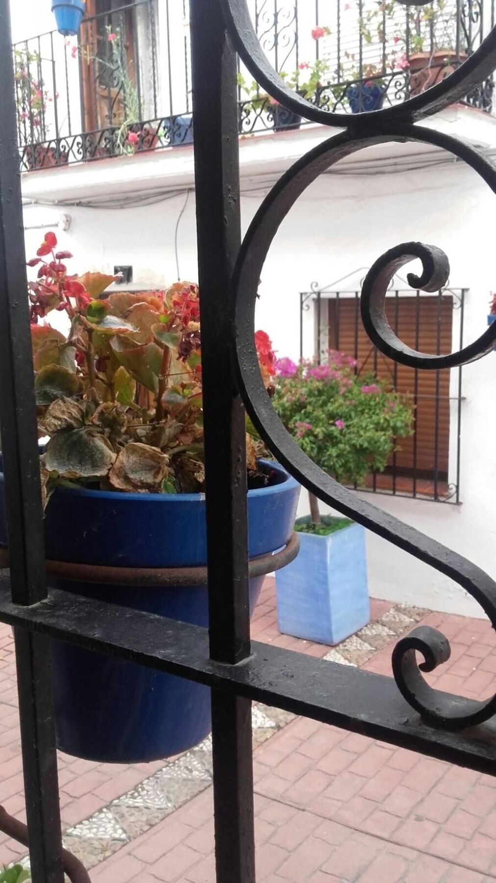 Apartment With One Bedroom In Estepona, With Wifi - 220 M From The Bea Eksteriør bilde